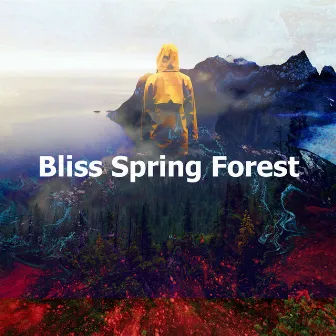 Bliss Spring Forest by Rain Falls