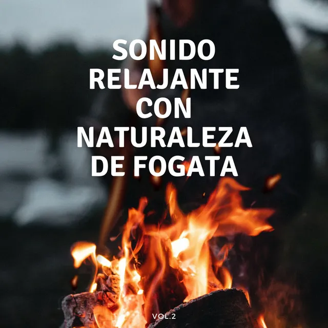 Sonido Relajante Con Naturaleza De Fogata Vol. 2