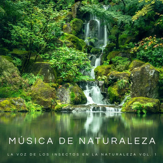 Música De Naturaleza: La Voz De Los Insectos En La Naturaleza Vol. 1