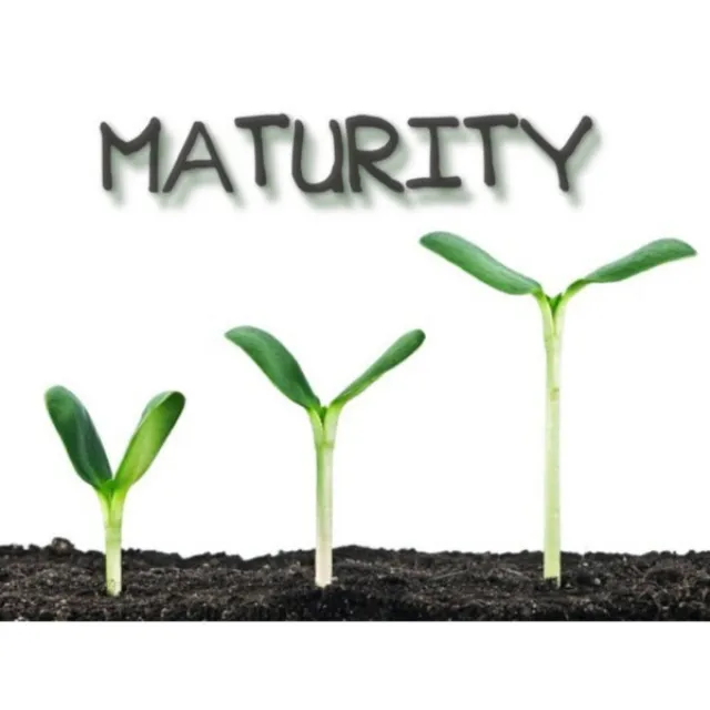 Maturity