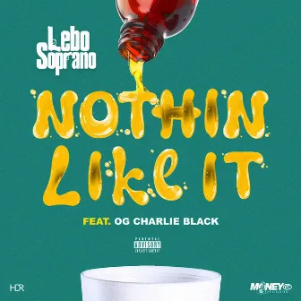 Nothin like it by Lebo Soprano