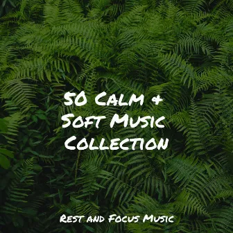 50 Calm & Soft Music Collection by White Noise Baby Sleep