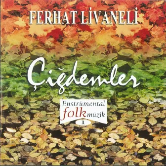 Çiğdemler (Enstrümental Folk Müzik, Vol. 1) by Ferhat Livaneli