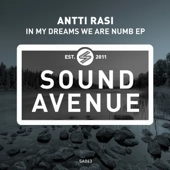 In My Dreams We Are Numb by Antti Rasi