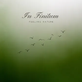 Feeling Nature by In Finitum