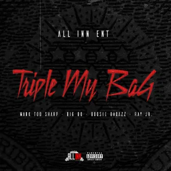 Triple My Bag (feat. Boosie Badazz & Ray Jr.) by Big-Bo