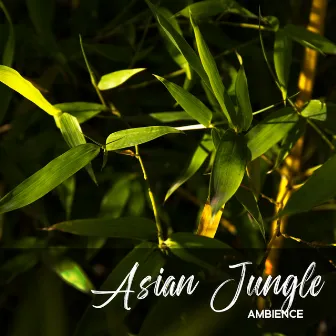 Asian Jungle Ambience: Mesmerizing Tropical Forest for Relaxation by Spa Music Paradise Zone