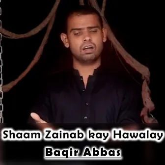 Shaam Zainab Kay Hawalay by Baqir Abbas