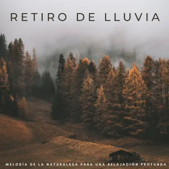 Retiro De Lluvia: Melodía De La Naturaleza Para Una Relajación Profunda by Lluvia en España