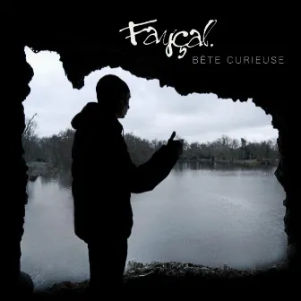 Bête curieuse by Fayçal