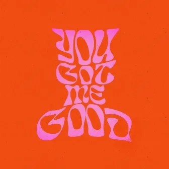 You Got Me Good by Linda Roan