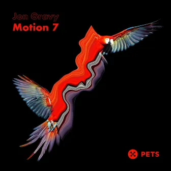 Motion 7 EP by Jon Gravy