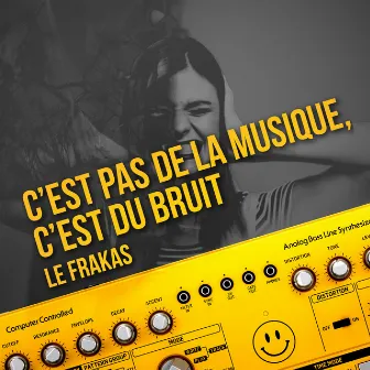 C'est pas de la musique, c'est du bruit by Le FraKas