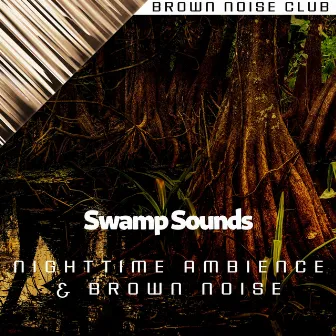 Swamp Sounds - Nighttime Ambience & Brown Noise, Loopable by Brown Noise Club