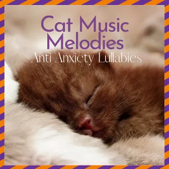 Cat Music Melodies - Anti Anxiety Lullabies by Cat Music Zone