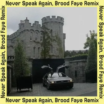 Never Speak Again 1988 (Brood Faye Remix) by Dream Council