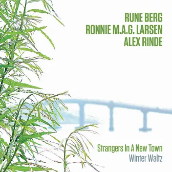 Strangers in a New Town by Rune Berg