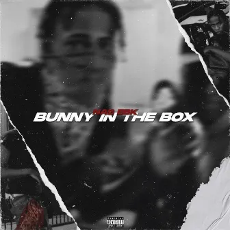 Bunny In The Box by Nas Ebk