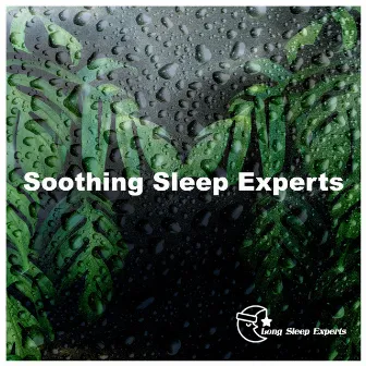 Soothing Sleep Experts by Long Sleep Experts