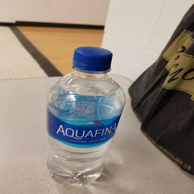 aquafina freestyle