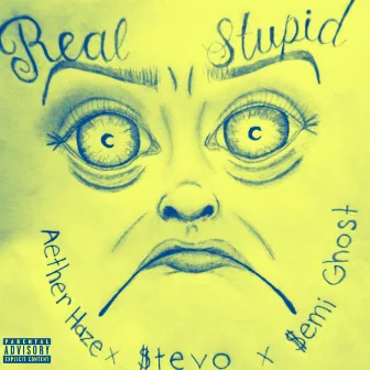 Real Stupid by Aether Haze