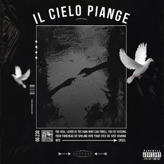 Il Cielo Piange by Willo