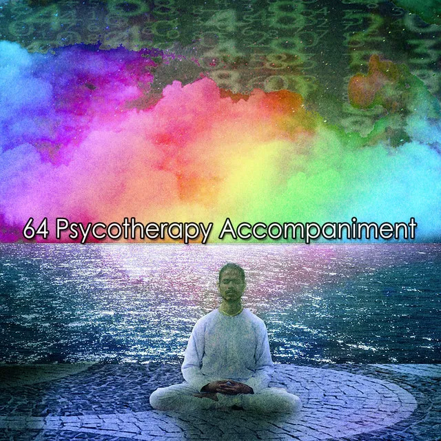 64 Psycotherapy Accompaniment