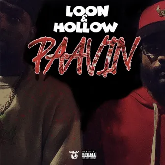 pavin by Hollow