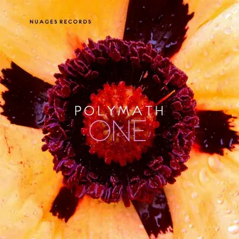 One by Polymath