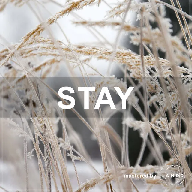 Stay