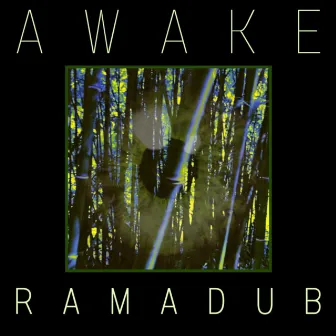 Awake by Ramadub