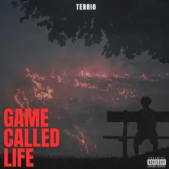 Game Called Life by Terrio