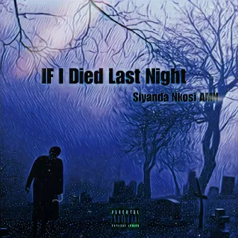 If I Died Last Night by Siyanda Nkosi AMN