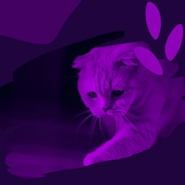 Background for Chilling Cats