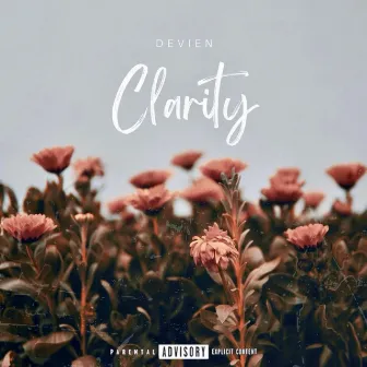 Clarity by Devien