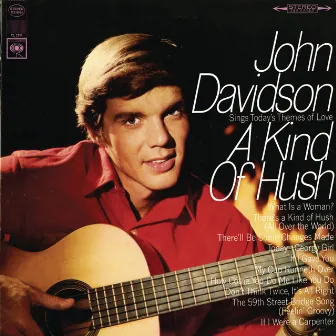 A Kind Of A Hush by John Davidson