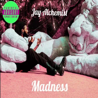 MADNESS by Jay Alchemist