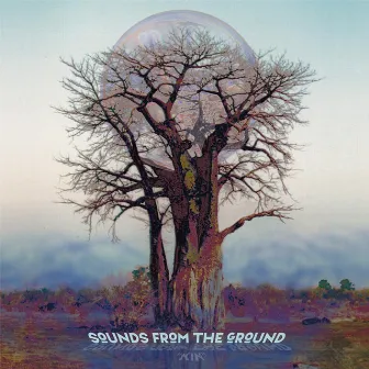 Kin by Sounds From The Ground