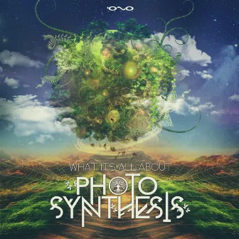 What Its All About by Photosynthesis