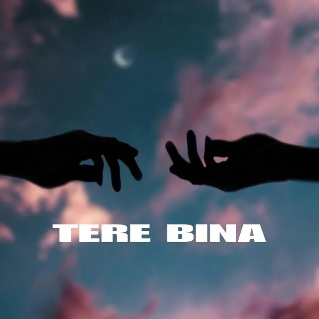 Tere bina