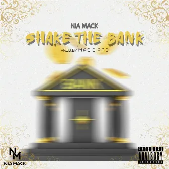 Shake The Bank by Nia Mack