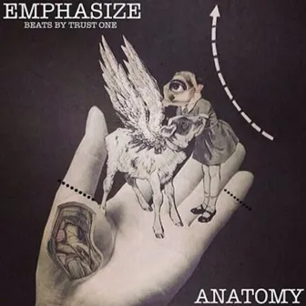 Anatomy by Emphasize