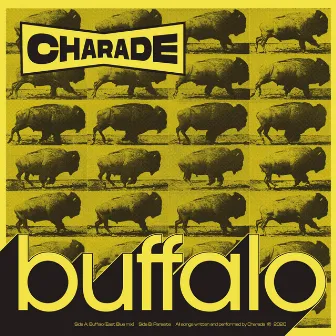 Buffalo by Charade