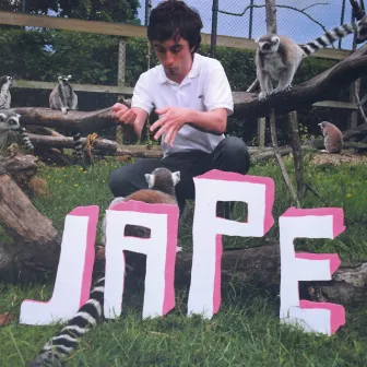 The Monkeys in the Zoo Have More Fun Than Me by Jape