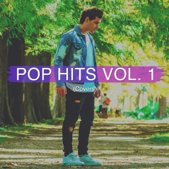 Pop Hits Vol. 1 by Damian Oliver