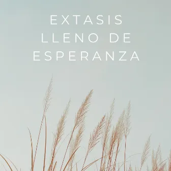 Extasis Lleno De Esperanza by Colectivo de música de meditación