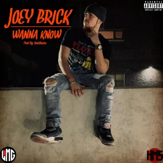 Wanna Know by Joey Brick