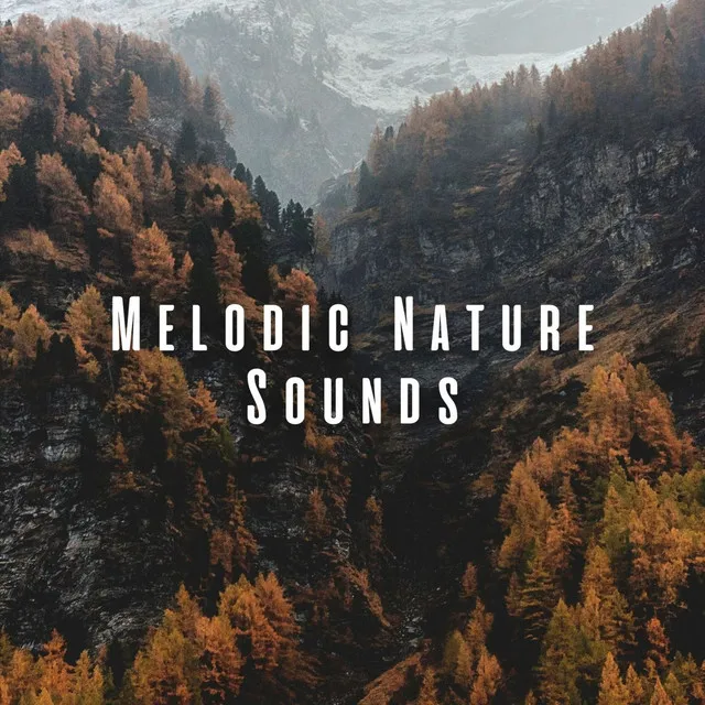 Calming Nature Symphony