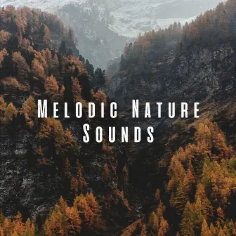 Melodic Nature Sounds by Nature Sounds Library