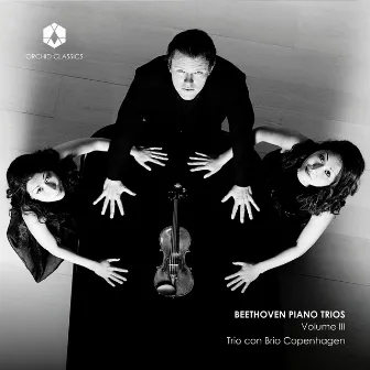 Beethoven: Piano Trios, Vol. 3 by Trio con Brio Copenhagen